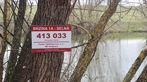 Zahájení pstruhové sezóny