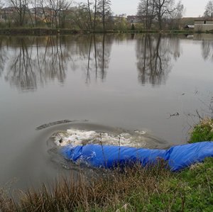 Nasazení z výlovu na Červeném Hrádku