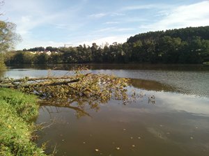 Zarybnili jsme mimopstruhovky