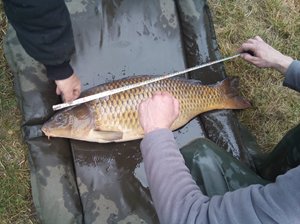 Výsledky sumarizace úlovků za rok 2018